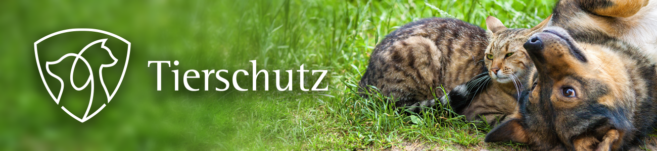 Nahaufnahme von Katze und Hund auf einer grünen Wiese. Auf der Linken Seite sieht man das Wappen und Logo des Tierschutz.